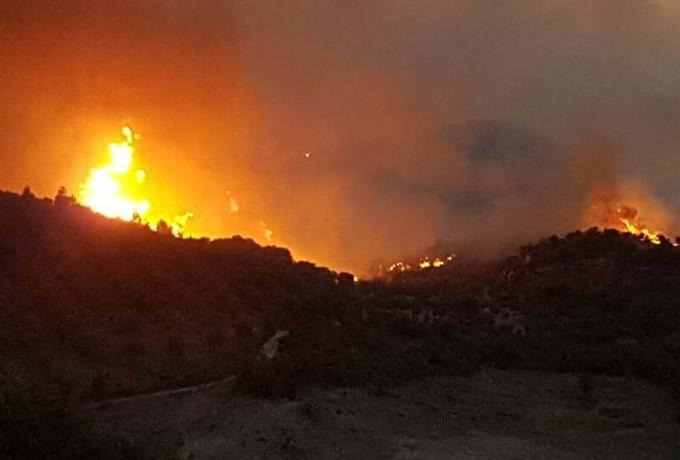 Φωτιά στην Εύβοια: Μεγάλη αναζωπύρωση στα Βασιλικά, καίγονται σπίτια!