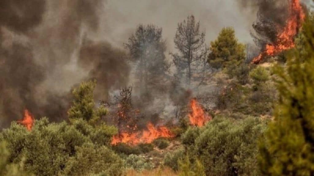 Χωρίς ενεργά μέτωπα οι πυρκαγιές στην Ηλεία (vid)