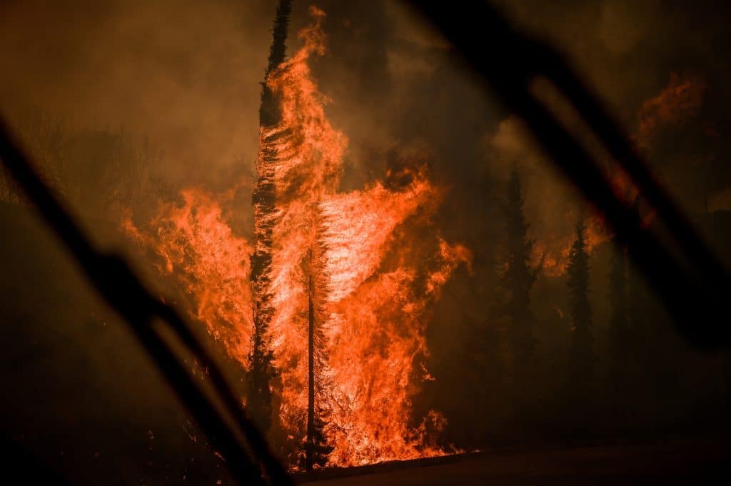 Συναγερμός στη Μαγνησία – Μέσα στο Βελεστίνο οι φλόγες, εκκενώνεται το Σέσκλο