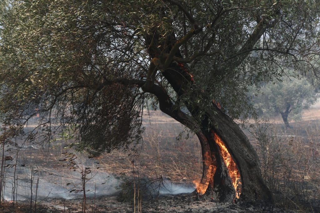 46 πυρκαγιές μέσα σε μια μέρα – Σε εξέλιξη βρίσκονται 105 πύρινα μέτωπα